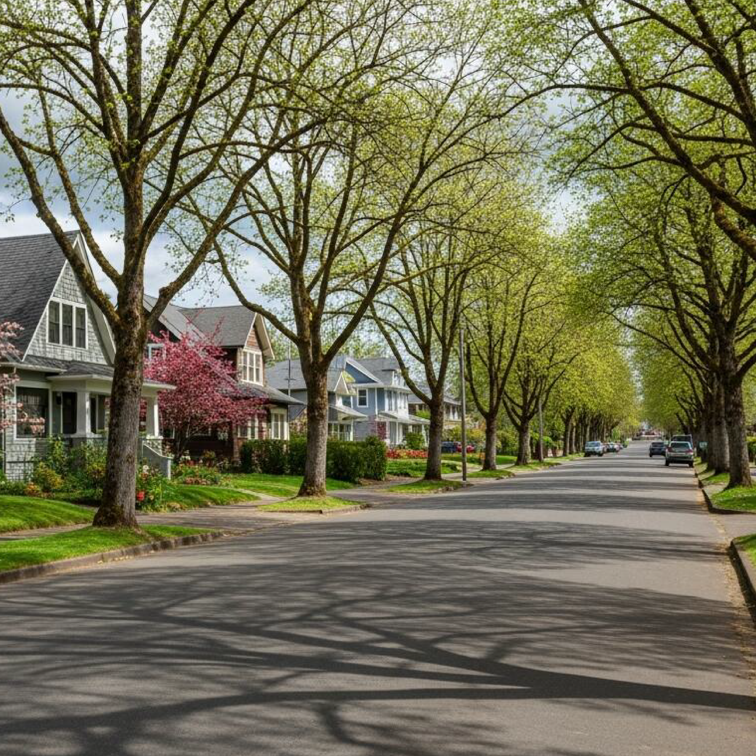 Portland Road picture